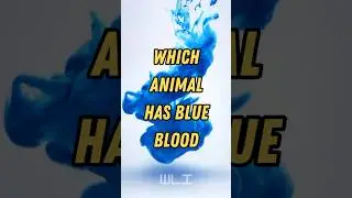 which animal has blue blood? #facts #foryou #explore #animals