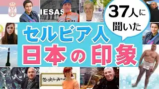 セルビア人の視点から見た日本！印象的なポイントとリアルな感想🇷🇸🇯🇵 (Utisak o Japanu)