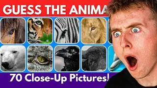 Guess the Animal from a CLOSE UP Picture Quiz!