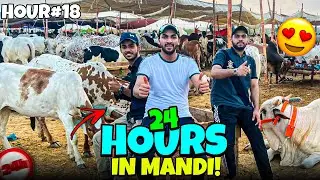 24 hours challenge in Mandi 😂😱￼