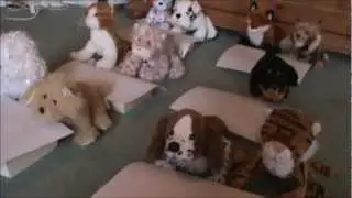 Hidden (Part 1) (Webkinz Werewolf Movie)