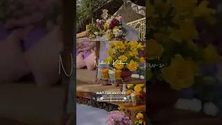 New Haldi VN Template | Trending template for wedding and Haldi #vncode #haldi #template #trending