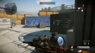 Crazy feeds