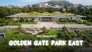 Golden Gate Park East | A San Francisco Drone Journey