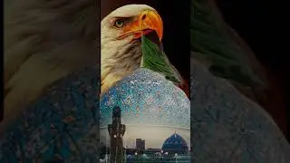 مديح منهو الكال منهو الكال جدك ماوراه افعال مايدري القطب بل ضيج
