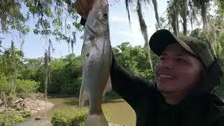 Uma pescaria de robalo isca artificial show de bola Vara ultra light
