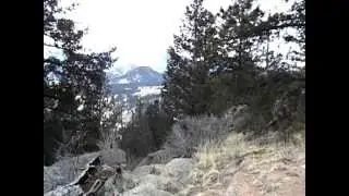 McCurdy Park Trail - on the way out  10Feb2013