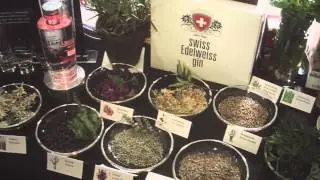 theGINday 2014 - Documentary