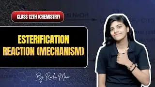 MECHANISM OF ESTERIFICATION| ALDEHYDE, KETONES AND CARBOXYLIC ACIDS| CHEMISTRY| CLASS 12 | SCIENCE 