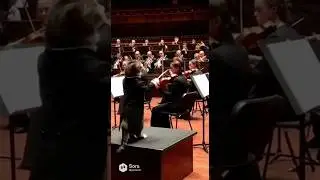 Maestro Cat
