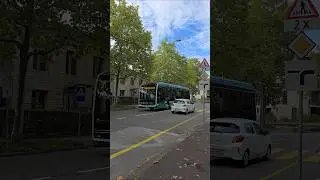 Bus31 in Riehen Schweiz🇨🇭#linienbus #autobus #travel #&ouml;v #&ouml;pnv #shorts #yt