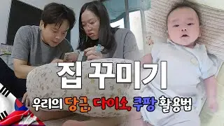 상경 N일차 국제가족의 구축아파트 꾸미기 대작전
