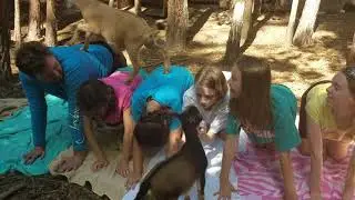 Camp teamwork goat obstacles 1