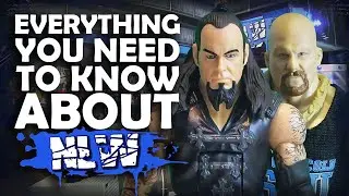 BEGINNERS GUIDE TO NO LIMITS WRESTLING! WWE Action Figures Pic Fed