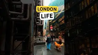Visit London #londonlife #travel #welcometolondon #europeantravel #londontravel