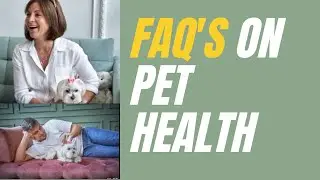 THE VIBRANT ANIMAL TEAM: FAQ ON YOUR PETS HEALTH!