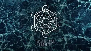 Tapesh & Lunoize - Do That One (Original Mix)