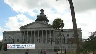 Juvenile age limit