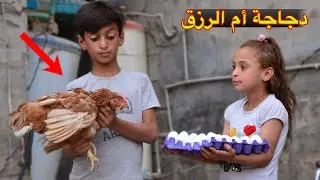 تحشيش الدجاجة🦤عجيبة ام الرزق جومانه ومهند القفاصةً#هههههه😂(؛:#حيدرالنسر؛:)