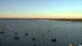 Mojo TV - Fast & Furious Waterfowl in Argentina