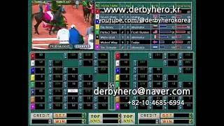 RealDerby 2person a