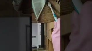 the most satisfying video you will ever see