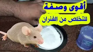 من النهارده مفيش فار هيفضل فى البيت حل سحرى قليل التكلفة