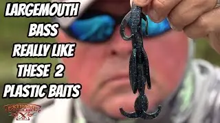 LARGEMOUTH BASS REALLY LIKE THESE 2 BAITS- Catching big bass