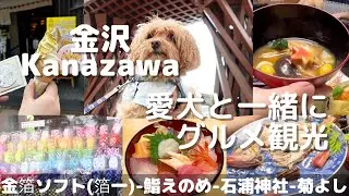 【わんわんWalt】チャプターあり 愛犬と旅行を楽しむ 金沢 後編 / 金箔・加賀懐石・海鮮丼 1日でも金沢を満喫できるグルメ観光｜マルプー｜愛犬｜旅｜宿泊｜KANAZAWA