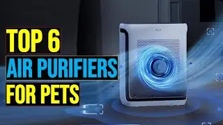 ✅Dander & Odor GONE: Which Pet Air Purifier Actually Works in 2026?
