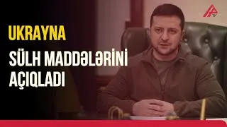 Zelenski sülh planının bütün 20 bəndini açıqladı | APA TV