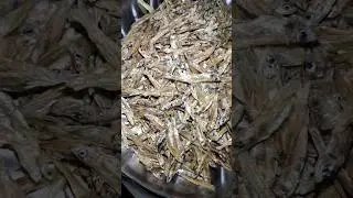 Dry Freshwater Garfish (kokili sukua)  #shorts #viral #trending #shortvideo