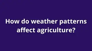 How do weather patterns affect agriculture?