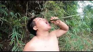 Get Back to the deep Jungle | Xaysomboun Province trip