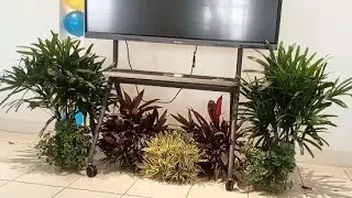 Simple Idea Landscape Design From Fresh Cuttings For Event