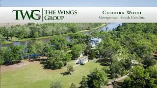 Chicora Wood
