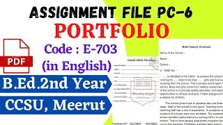 Portfolio File in English | B.Ed. Internship File | B.Ed. 2nd Year | CCSU