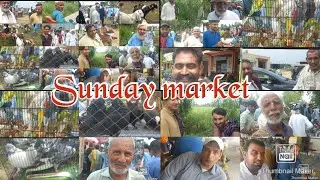 Sunday market Pakistan Hazro Itwar mandi Goats chicken  fancy parinde rabbit Pigeon Birds market 