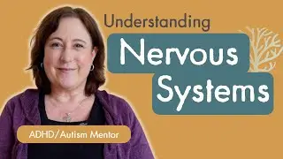 Help Your Child Understand Their Nervous System | ADHD/Autism Mentor