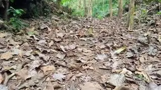 Jln ke Guha parangpang
