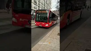 Passage d'un Mercedes citaro C2 sur la ligne 29 !