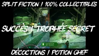 Split Fiction / Succ&egrave;s Secret / Secret Achievement / D&eacute;coctions / Potion Chef / 100% Collectibles