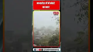 Madhya Pradesh में कोहरे का कहर: शीतलहर, बेमौसम वर्षा और ट्रेनों में देरी | cold wave | mp weather