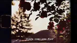 coldroses - flower (tradu&ccedil;&atilde;o/legendado)