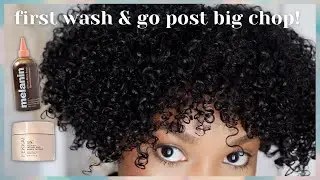 first wash and go after my big chop! | styling short natural hair