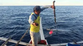 Part 1 Harvest ang tanigue | Jackpot na naman | Tanigue Hunting | Viral fishing video