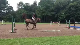 Lauren Fischer&rsquo;s Two-Stride for Straightness - Riding Exercise