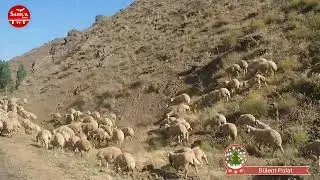 Yollar Beni Ben Yolları Unuttum