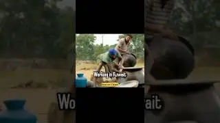 Kuwait v/s India, life in Kuwait #ytshorts #shorts #kuwait #india #work #job #gulf #newshorts #viral