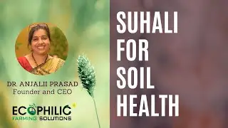 Suhali can improve your soil and plant health